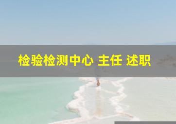 检验检测中心 主任 述职